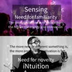 Sensing vs Intuition